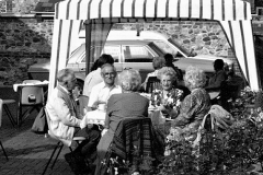 Tea served in the garden at Baydon House on Carnival Day for the Residents