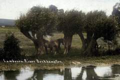 Bockhampton-River-Lambourn-Colorized