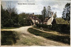 GOOSE-GREEN-4-Colorized