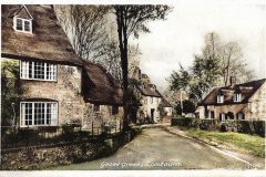 Goose-Green-3a-Colorized