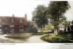 Goose-Green-Colorized