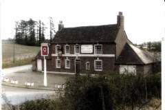 Hare-Hounds-Lambourn-Woodlands-2-Colorized