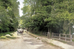 The-Lane-Lambourn-Colorized