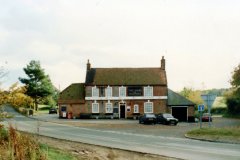 Hare-and-Hounds-8