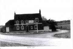 Hare-and-Hounds-9