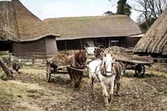 Eastbury-Historic-20