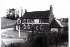 Hare-Hounds-Lambourn-Woodlands-2