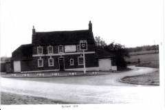 Hare-Hounds-Lambourn-Woodlands-3