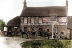 Lambourn-Woodlands-Hare-Hounds-Colorized