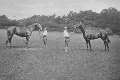 Racing Illustrated 1895Arcano and Cardonald