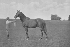 Racing Illustrated 1895 'Avington'