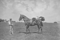 Racing Illustrated 1895 'Blankney'