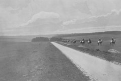 Racing Illustrated 1895String along Wantage Road, Faringdon Gallops