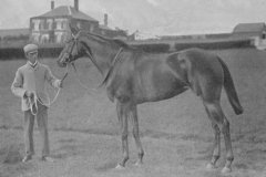 Racing Illustrated 1895'Indian Queen' at Stork House