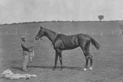 Racing Illustrated 1895 'The Tartar'