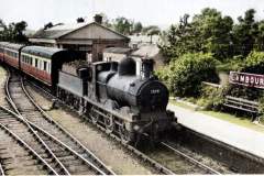 Lambourn-Branch-3-Colorized