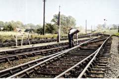 Lambourn-Platelayer-Colorized