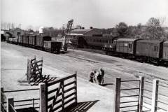 Lambourn-Station-Yard-1954