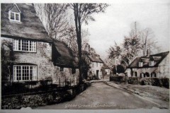 Goose-Green-3