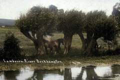 Bockhampton-River-Lambourn-Colorized