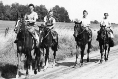 Faringdon Road Downs, Lambourn 1951(back of photo -Damremont, Migram Blandon)