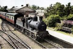 Lambourn-Branch-3-Colorized