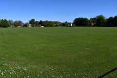 DSC_3110JPG