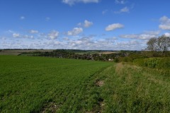 DSC_3139JPG
