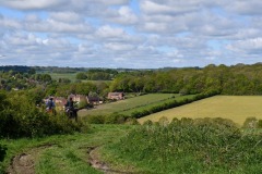 DSC_3146JPG