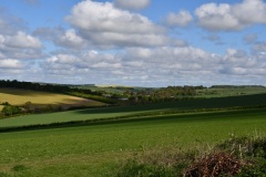 DSC_3151JPG