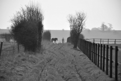 Copyright Simon Hipwell