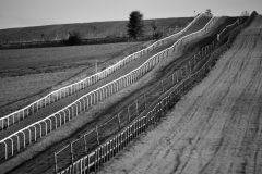 Copyright Simon Hipwell