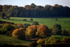 Copyright Simon Hipwell