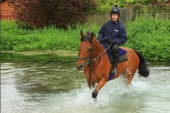 River Lambourn at Bockhampton -Neil Robertson