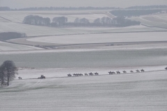 Faringdon Gallops February - Jill Copperthwaite