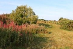 Greenways - Neil Robertson