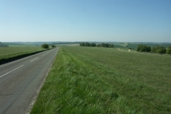 Lambourn Gallops - Christian Noll