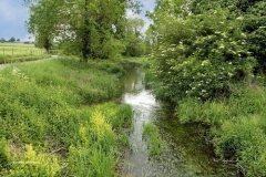 River at Bockhampton - Neil Robertson