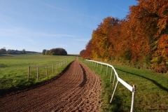 Upper Lambourn fibresand - Christian Noll