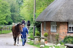 Upper Lambourn - Neil Robertson