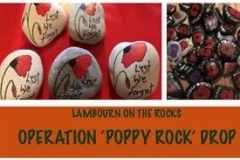 Operation Poppy Rock 2018