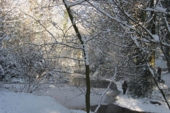 'Pond at Big Wood' (Lynch Wood)January 6th 2010