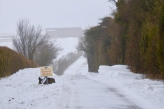 Sheepdrove  photo Jill Copperthwaite