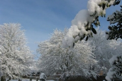 Snow of 2009