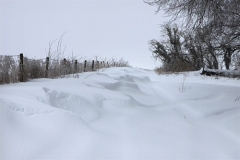 Footpath across the Downs