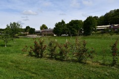 Upper Lambourn