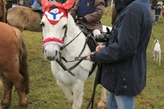 Vine and Craven Hunt - Boxing Day 2014