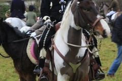 Vine and Craven Hunt - Boxing Day 2014