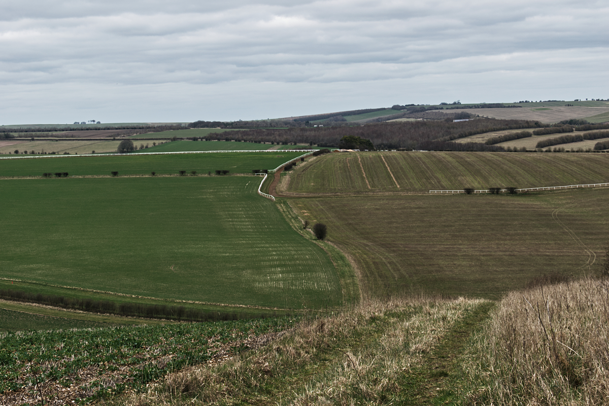Lambourn Valley Walks Lambourn > Eastbury > Sheepdrove >Lambourn