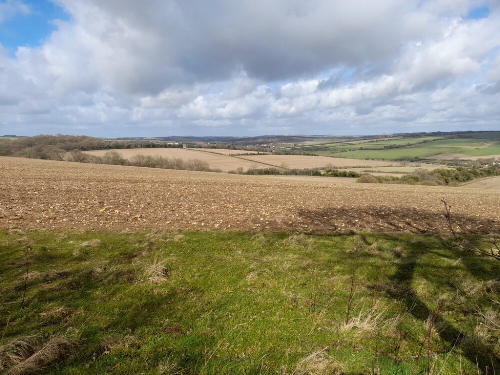 Lambourn Valley Walks Lambourn Rooksnest Eastbury Lambourn Lambourn